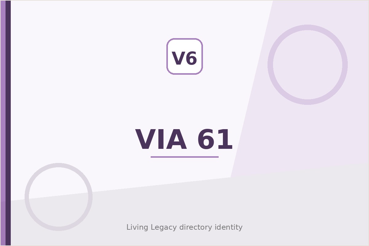 Via 61 project