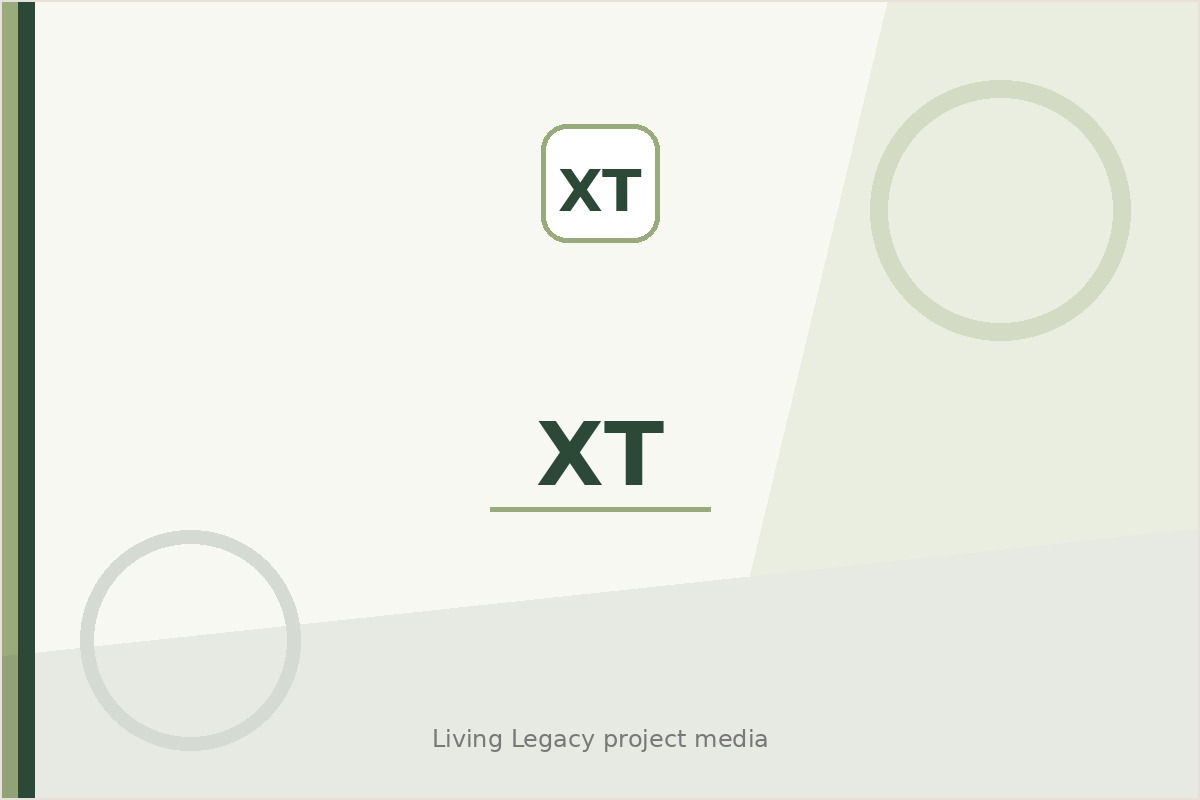 Xt project