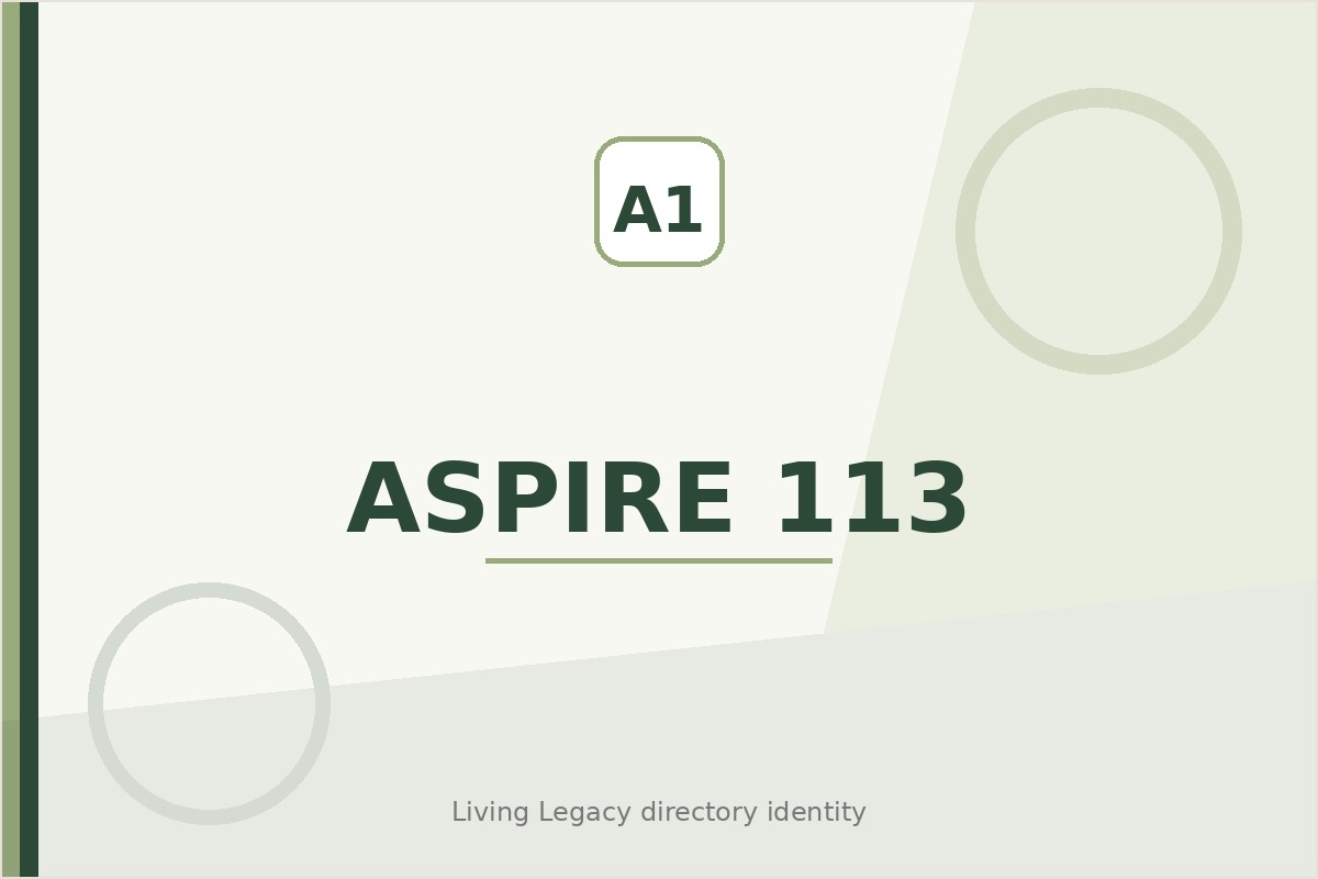 Aspire 113 project