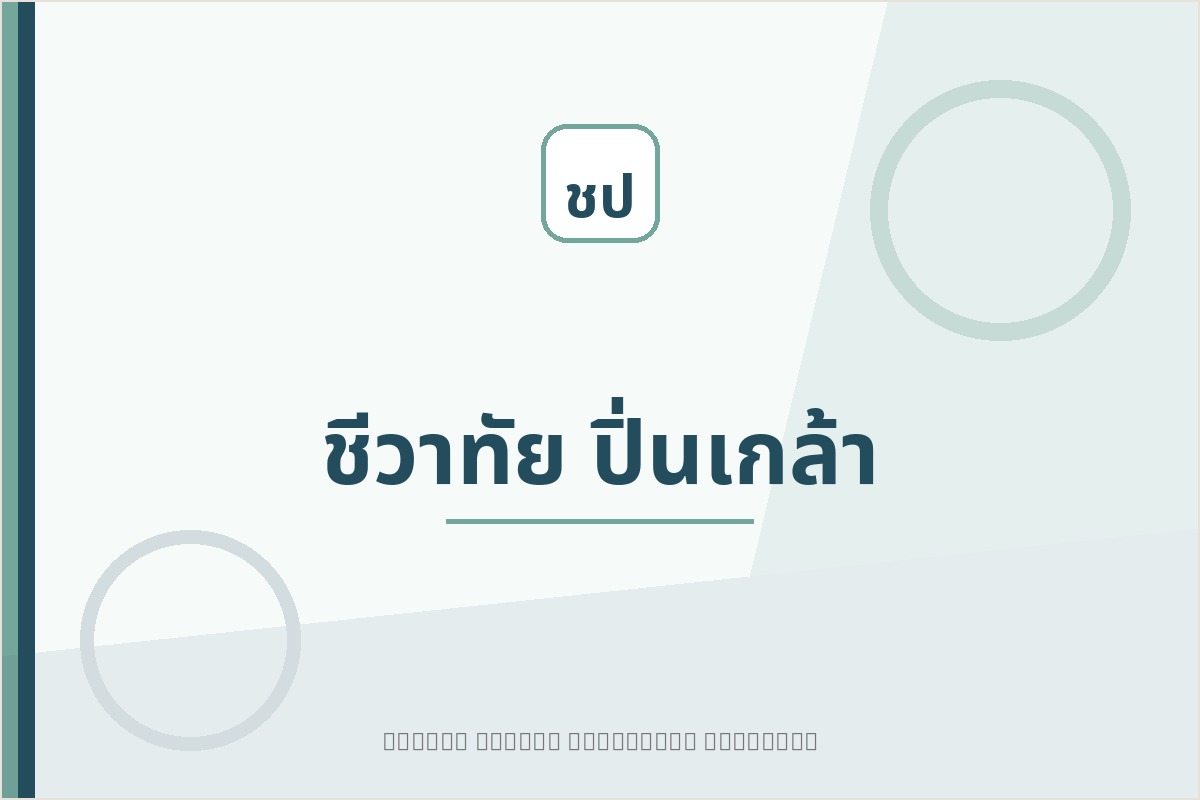 ชีวาทัย ปิ่นเกล้า project