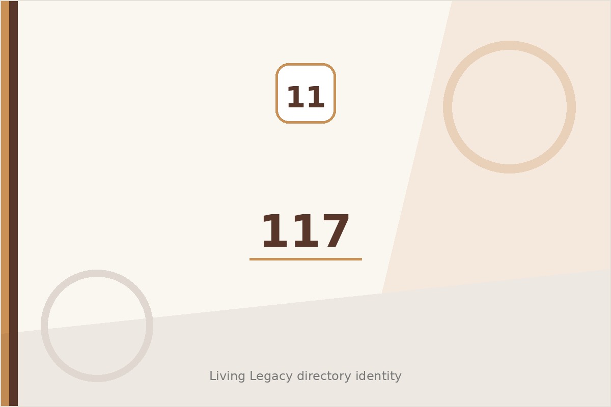 117 project
