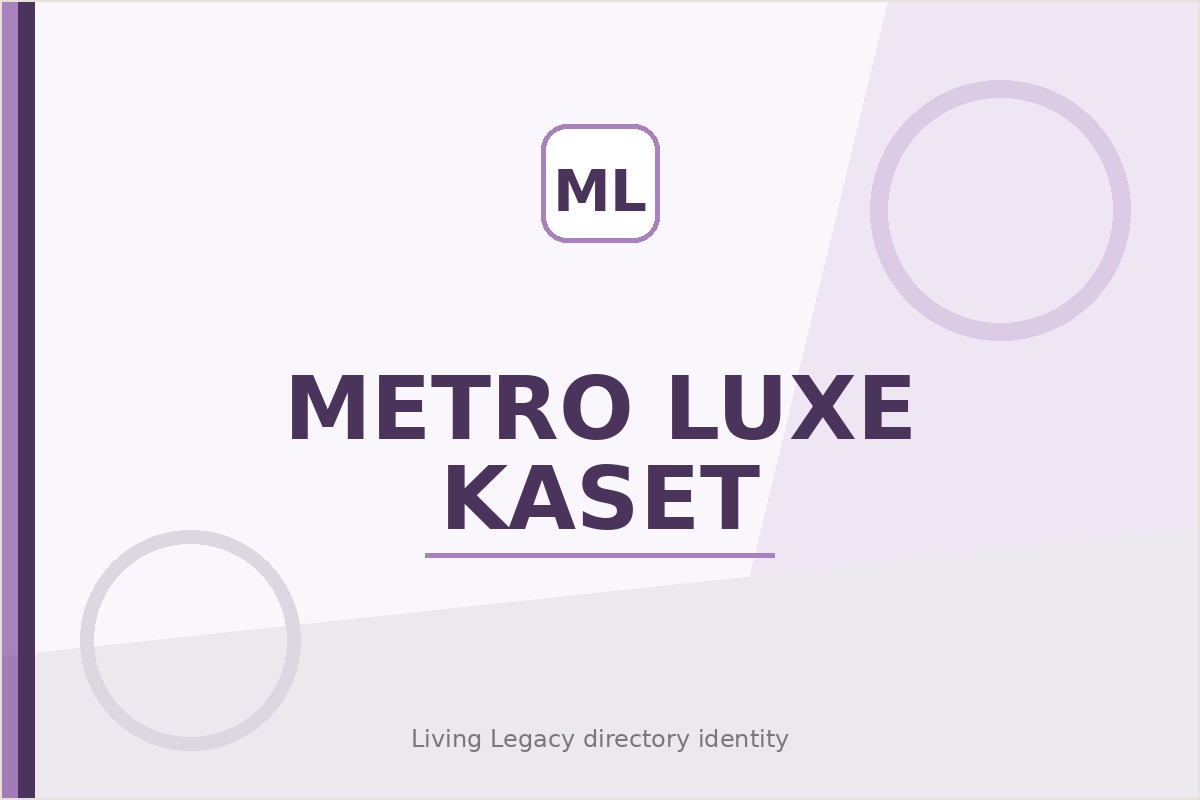 Metro Luxe Kaset project