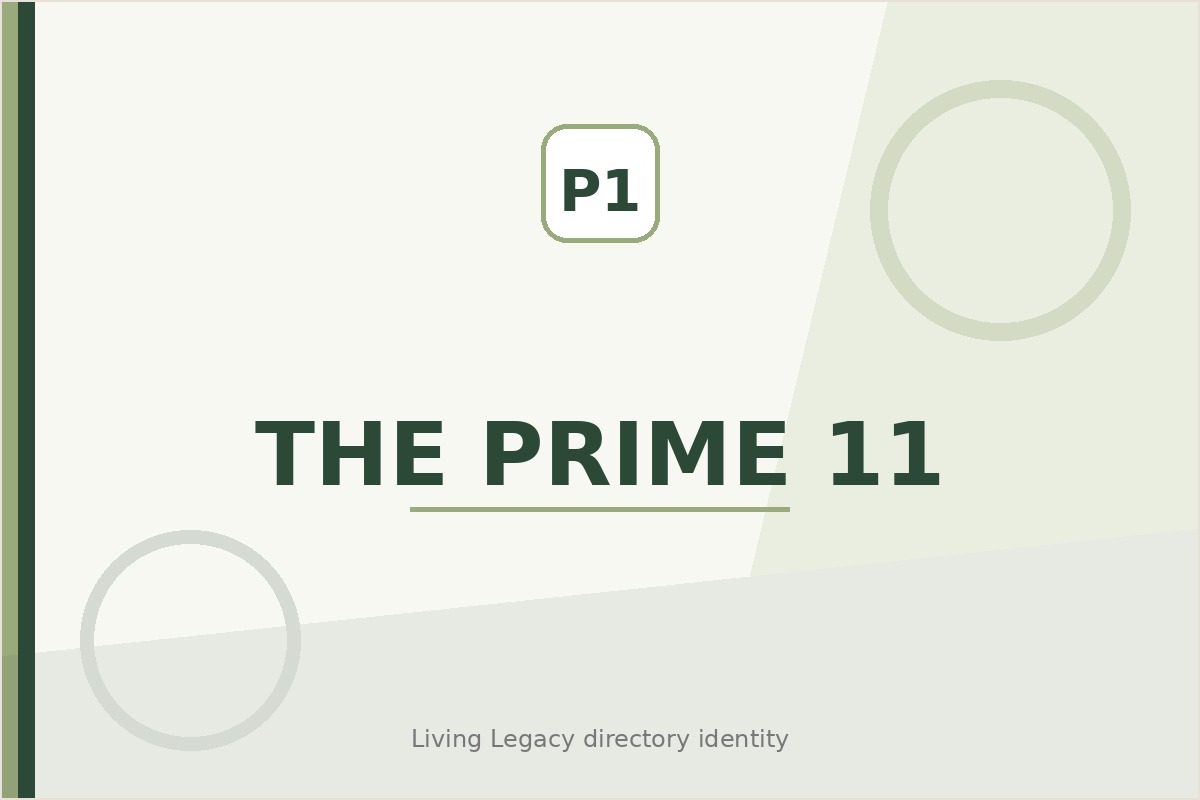 The Prime 11 project