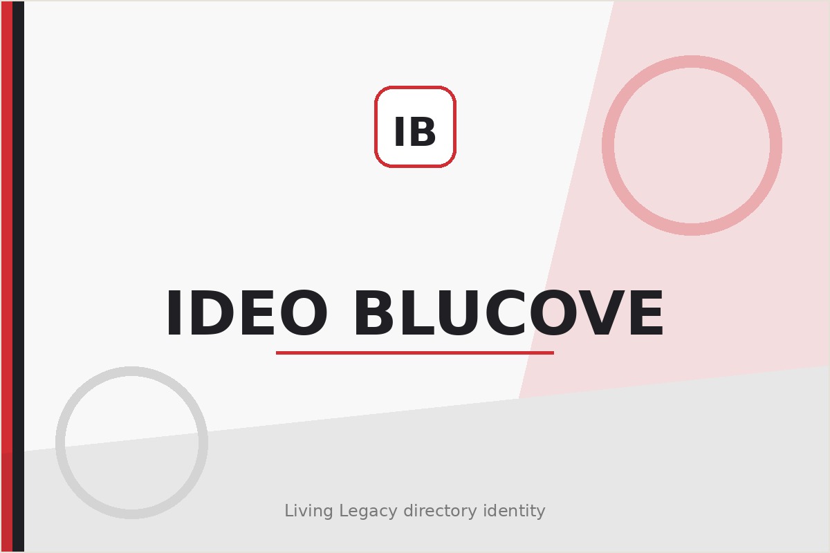 Ideo Blucove project