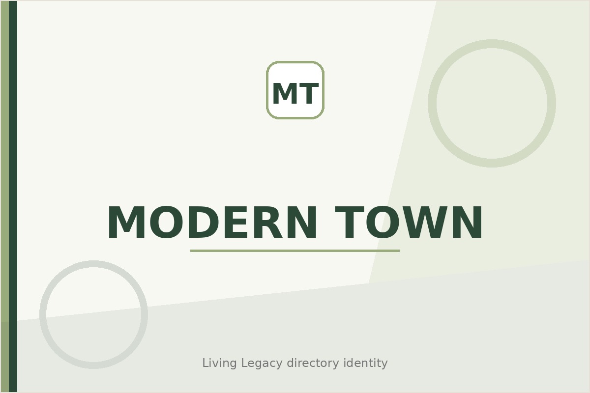 Modern Town project