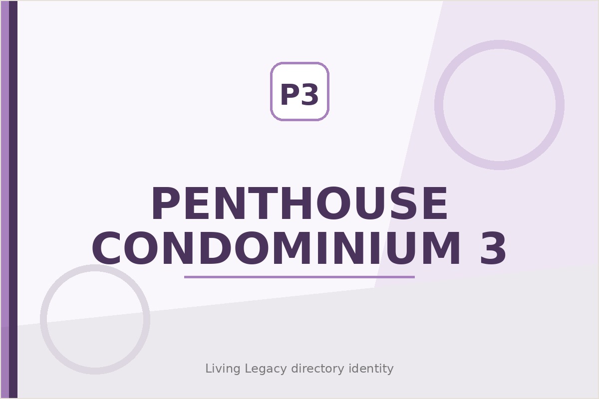 Penthouse Condominium 3 project